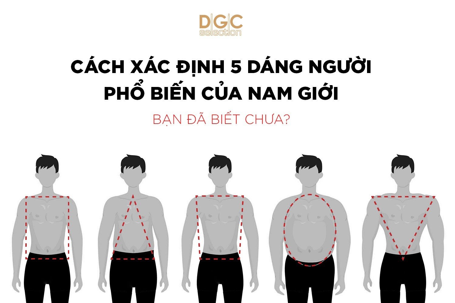 Thời trang DGC Selection. Tips phối đồ cho từng dáng người – P.4 ...